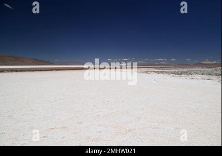 Der Salar de Pocitos im Puna Argentina Stockfoto