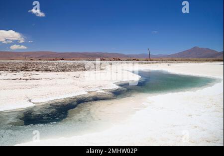 Der Salar de Pocitos im Puna Argentina Stockfoto