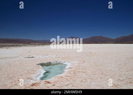 Der Salar de Pocitos im Puna Argentina Stockfoto