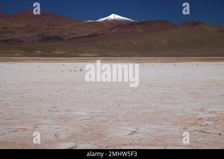 Der Salar de Pocitos im Puna Argentina Stockfoto