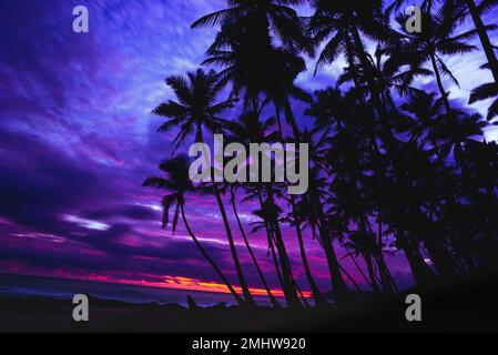 Tropischer Sonnenuntergang am Strand, Blick auf Palmen in Silhouette vor einem farbenfrohen tropischen Sonnenuntergang, Tangalle, Sri Lanka Stockfoto