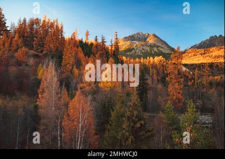 Ein Panoramablick auf die hohe Tatra im Herbst, mit dem Gerlach-Gipfel als Mittelpunkt einer atemberaubenden Landschaft Stockfoto