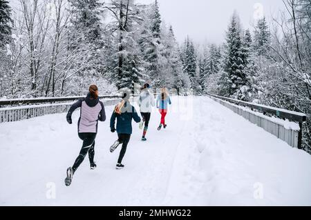 Eine Gruppe entschlossener junger Frauen drängt sich durch die verschneite Winterlandschaft und trainiert für ihr nächstes Rennen in der malerischen Kulisse eines schneebedeckten F Stockfoto