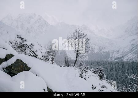 Entfliehen Sie der Hohen Tatra für ein Winterabenteuer, umgeben von schneebedeckten Gipfeln und gefrorenen Seen, die ein Winterwunderland schaffen. Stockfoto