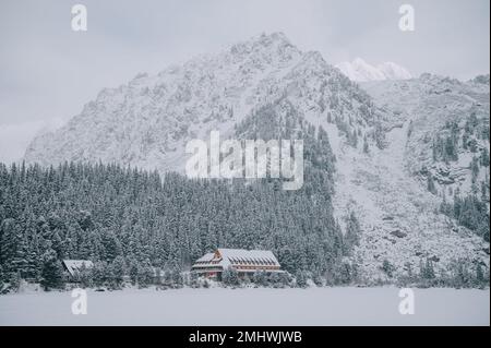 Poprad-See in der Hohen Tatra, Slowakei im Winter. Der unberührte Schnee und die ruhige Atmosphäre sorgen für einen wirklich atemberaubenden Anblick Stockfoto