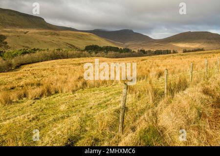 Upper Neuadd Valley mit Corn Du, Pen y Fan und Cribyn im Hintergrund in den Central Brecon Beacons Stockfoto