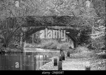 Mytchett Place Bridge über den wunderschönen Basingstoke Canal in Surrey Stockfoto