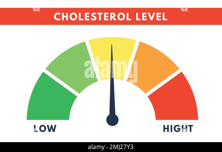 Cholesterinmessgerät. Niveauskala der Hyperlipidämie. Blutuntersuchung. Vektor-isolierte Darstellung Stock Vektor