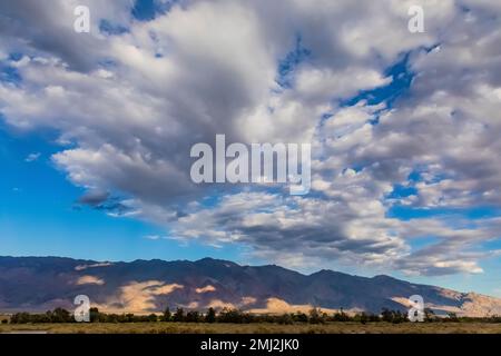 Manzanar CemeteryManzanar National Historic Site, Owens Valley, Kalifornien, USA Stockfoto