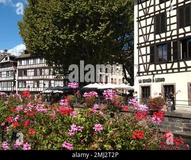 Fachwerkhäuser, Blumen und Cafeterrasse in der Nähe des Kanals, Straßburg, Elsass, Frankreich Stockfoto