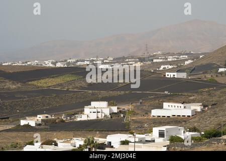 Ackerland auf vulkanischem Boden in La Geria, Lanzarote Stockfoto