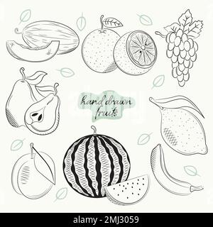 Ein Satz handgezeichneter Zeichnungen mit gesunden Früchten Stock Vektor