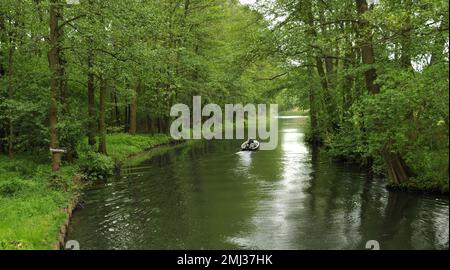 Bootsfahrt im Spreewald bei Lehde, Brandenburg, Deutschland Stockfoto