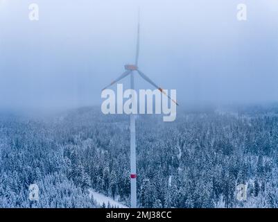 Windmühle im Wald im Nebel und Schnee, Freudenstadt, Schwarzwald, Deutschland Stockfoto