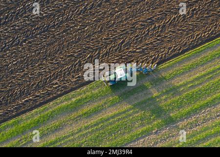 Traktor mit Pflug, landwirtschaftliche Pflügen im Frühjahr auf einem Feld Stockfoto