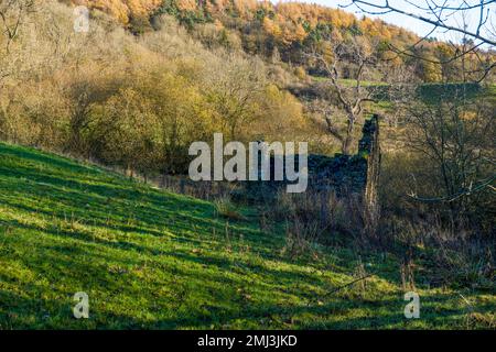 Ein heruntergekommenes Gebäude in Wäldern gleich neben dem Monsal Trail, in der Nähe von Bakewell, Peak District, Derbyshire, Großbritannien Stockfoto