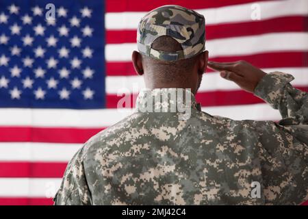 Ansicht der Rückseite des militärischen Mann salutierte Us Flag Stockfoto