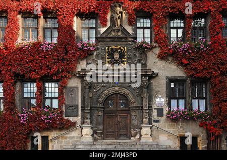 Eingangsportal mit Quedlinburger Wappen vom Rathaus, Renaissance, Quedlinburg, Sachsen-Anhalt, Deutschland Stockfoto