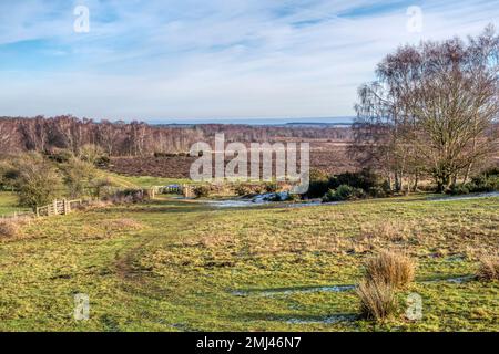 Norfolk Wildlife Trust Roydon Common Naturschutzgebiet an einem hellen Winternachmittag. Stockfoto