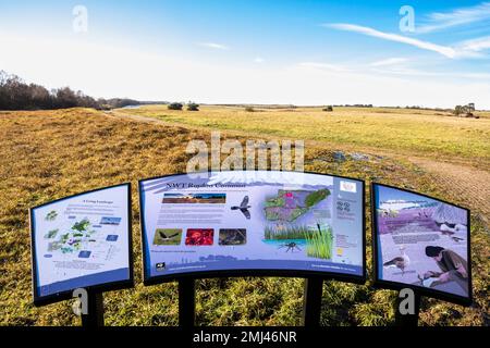 Informationsschild am Naturschutzgebiet Norfolk Wildlife Trust Roydon Common an einem hellen Winternachmittag. Stockfoto