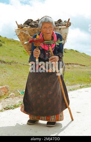 Alte tibetische Frau mit Gebetsrad in der Hand und Yak-Dungkorb auf dem Rücken, Langmusi, Provinz Gansu, China Stockfoto