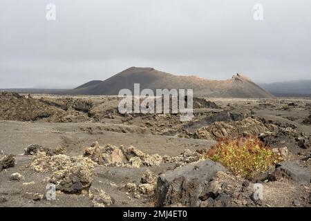 Ein alter Vulkankegel umgeben von Lava in Tinajo, Lanzarote Stockfoto