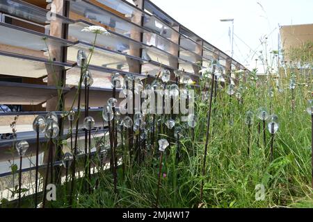 Glühbirnen in der natürlichen Wildblumen-Wiese als Teil des Beleuchtungskonzepts, das Magie bei Nacht des britischen Pavillons auf der Expo 2015 enthüllt. Stockfoto