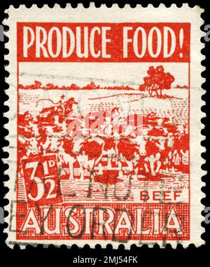 AUSTRALIEN - CA. 1953: Ein in AUSTRALIEN gedruckter Stempel zeigt die Rinder, die zur Förderung der Nahrungsmittelproduktion ausgestellt wurden, um 1953 Stockfoto