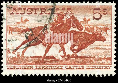 AUSTRALIEN - CIRCA 1959: Ein in AUSTRALIEN gedruckter Stempel zeigt den Ureinwohner-Stockman, der einen Ochsen, Northern Territory Cattle Industry Issue, Circ, herausschneidet Stockfoto