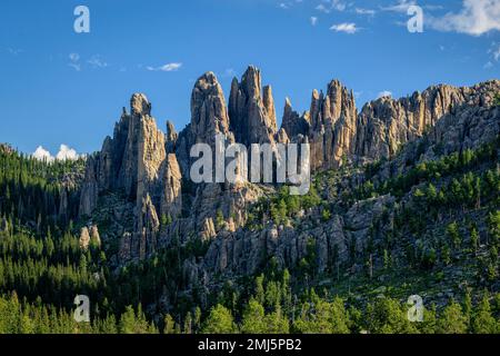 Die Needles Granitfelsen im Custer State Park, Black Hills, South Dakota. Stockfoto