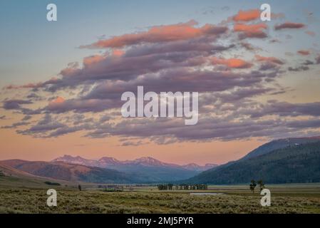 Lamar Valley und die Absaroka Mountains bei Sonnenuntergang, Yellowstone National Park, Wyoming, USA. Stockfoto