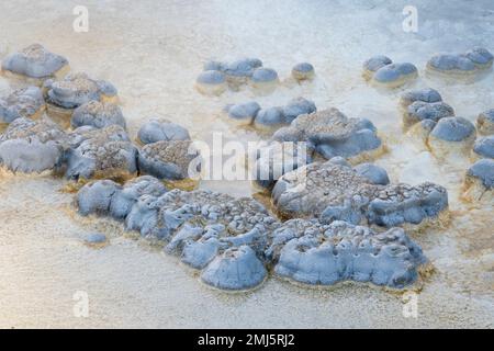 Formationen im Thermalbecken bei Solitary Geyser im Yellowstone National Park. Stockfoto