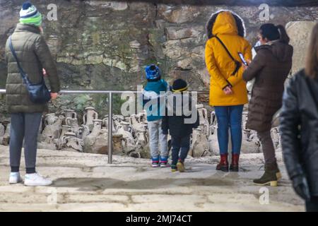 Bürger bei einem Besuch der Arena Pula am 18. Abend des Museums in Pula, Kroatien am 27. Januar 2023. Der Museumsabend findet jedes Jahr in Kroatien statt, und viele Museen bieten den Bürgern freien Eintritt. Foto: Srecko Niketic/PIXSELL Stockfoto