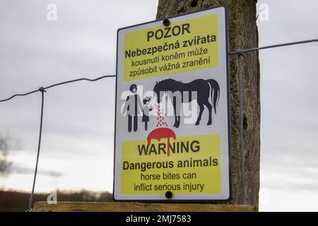 Warnschild: Gefährliches Tier - Pferdestiche können schwere Verletzungen verursachen. Warnschild auf Pferdeweide. Tschechisch und Englisch. Stockfoto