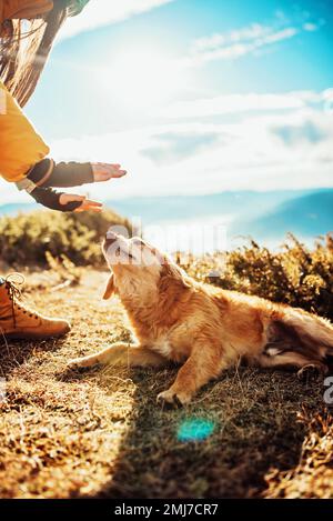 Eine Frau mit einem Hund in den Bergen. Herbststimmung. Reisen mit einem Haustier. Frau Und Ihr Hund Posieren Draußen. Stockfoto