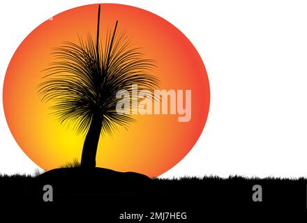 Silhouette mit Grasbaum oder schwarzem Knabenbaum bei Sonnenuntergang. Vektordarstellung. Stock Vektor