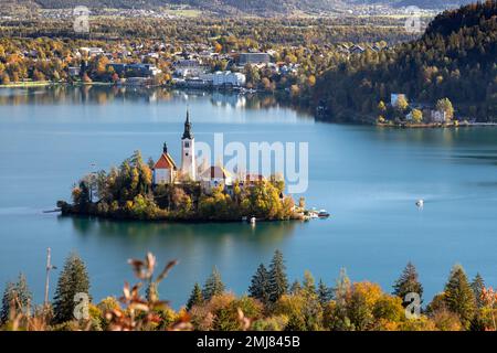 Der berühmte alpine Bled-See (Blejsko jezero) in Slowenien, herrliche Herbstlandschaft. Malerischer Blick auf den See, Insel mit Kirche, Boote, Outdoor Reise b Stockfoto