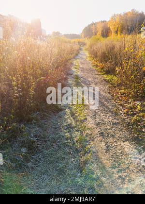 Herbstuntergang in Vororten in der Nähe von Wäldern. Helles Sonnenlicht auf Feldern mit Gras im Frost. Spätherbstlandschaft. Stockfoto