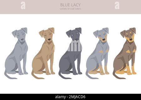 Blue Lacy Clipart. Verschiedene Fellfarben und Posen eingestellt. Vektorgrafik Stock Vektor