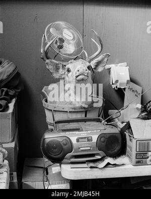 Ein etwas beunruhigendes Schauspiel von Kuriositäten, die hinter einer Theke auf der Deerfield Fair, New Hampshire, verkauft werden. Das Bild wurde mit analogem Schwarz und Weiß aufgenommen Stockfoto