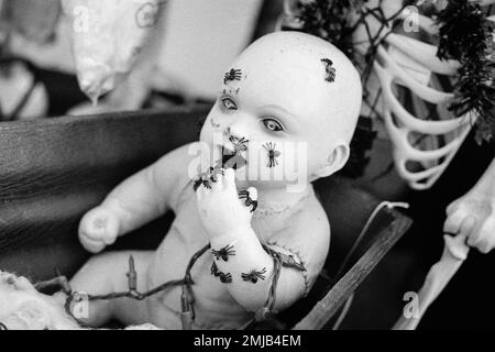 Eine Baby-Puppe scheint Spinnen zu essen, die ihren Körper bei einer Halloween-Ausstellung auf der Deerfield Fair, New Hampshire, bedecken. Das Bild wurde auf dem analogen System aufgenommen Stockfoto