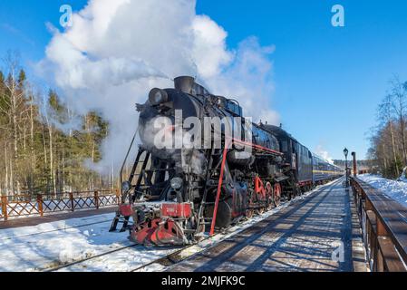 RUSKEALA, RUSSLAND - 10. MÄRZ 2021: Dampflokomotive L-2198 mit einem touristischen Retro-Zug „Ruskeala Express“ am Bahnsteig von Ruskeala Station Stockfoto