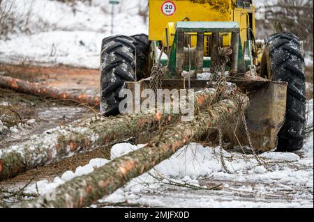 Ein Skidder, der einen gefällten Baum zieht. Polen. Stockfoto