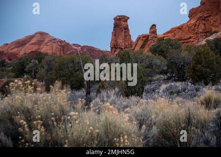 Der Kodachrome Basin State Park in Utah beherbergt fast 70 natürliche Felsspitzen. Stockfoto