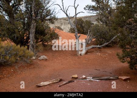 Der Kodachrome Basin State Park in Utah beherbergt fast 70 natürliche Felsspitzen. Stockfoto