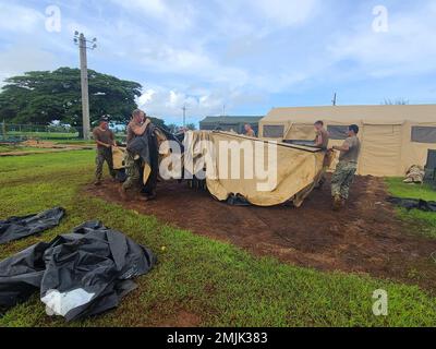 SANTA RITA, Guam (30. August 2022) Seebäume, die dem mobilen Naval Construction Battalion (NMCB) 11 Aid Construction Battalion Maintenance Unit 303 mit dem Rückbau des Pacific Vanguard Expeditionary Maritime Operations Center, 1. September 2022, zugewiesen wurden. Die NMCB 11 wird vorwärtsversetzt, um Bauarbeiten, humanitäre Hilfe und die Zusammenarbeit im Bereich der Theatersicherheit in den USA durchzuführen Sechster und siebter Flottenbereich. Stockfoto