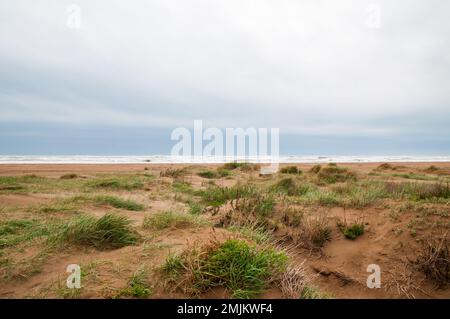 wolkentag, Ebro Delta, Katalonien; Spanien Stockfoto