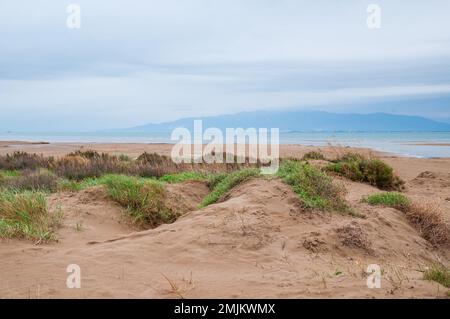 wolkentag, Ebro Delta, Katalonien; Spanien Stockfoto