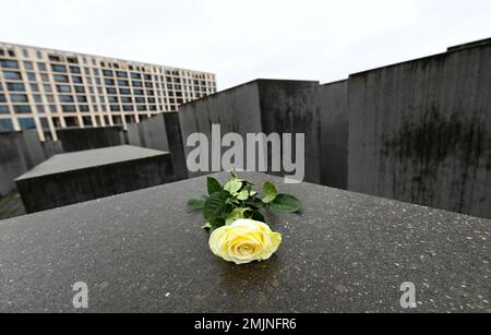 Berlin, Deutschland. 27. Januar 2023. Eine Blume wird am Mahnmal für die ermordeten Juden Europas in Berlin, Deutschland, am 27. Januar 2023 gesehen. Die Gedenkstätte im Zentrum Berlins wurde erbaut, um etwa 6 Millionen Juden zu gedenken, die von den Nazis im Zweiten Weltkrieg getötet wurden Im Jahr 2005 verabschiedete die Generalversammlung der Vereinten Nationen eine Resolution, mit der der 27. Januar zum Internationalen Gedenktag zum Gedenken an die Opfer des Holocaust erklärt wurde. Kredit: Ren Pengfei/Xinhua/Alamy Live News Stockfoto