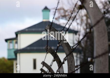 Oranienburg, Deutschland. 27. Januar 2023. Ein Zaun mit Stacheldraht befindet sich auf dem Gelände des Sachsenhausen Memorial and Museum. Während einer gemeinsamen Veranstaltung des Brandenburger Landesparlaments und der Gedenkstätte wurde zum ersten Mal, anstatt einen Kranz zu legen, eine Tonband-Kunstaktion mit der Frage durchgeführt: "Warum erinnern Sie sich heute? Kredit: Soeren Stache/dpa/Alamy Live News Stockfoto